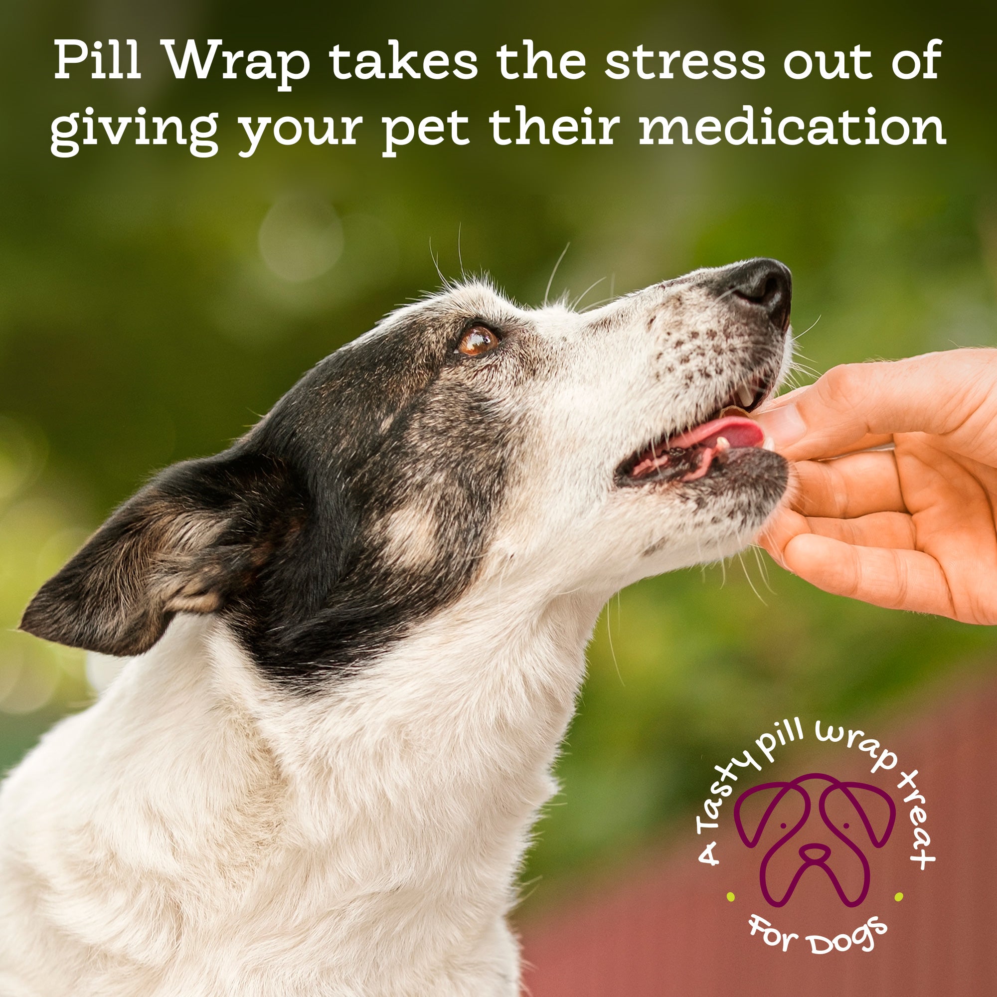 4-generic-pillwrap_b72b3a1a-0add-4036-b8d5-9c086ee6b852.jpg