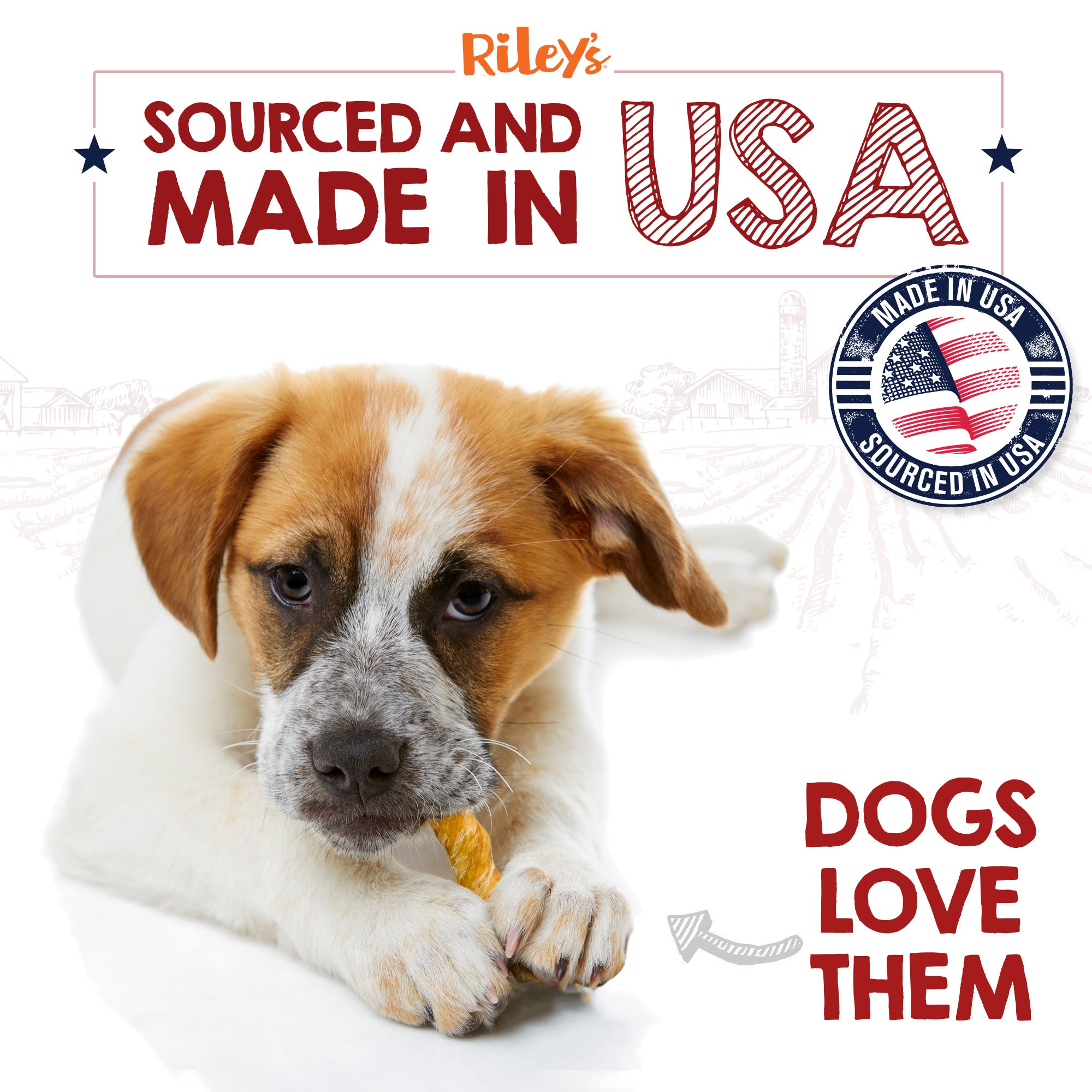 6-Made-In-USA-dogswilllove_80f5d216-d5d7-4b52-971c-67e0a9638a68.jpg